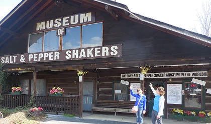 Taglines example of the Museum of Salt & Pepper Shakers